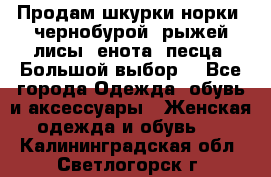 Продам шкурки норки, чернобурой, рыжей лисы, енота, песца. Большой выбор. - Все города Одежда, обувь и аксессуары » Женская одежда и обувь   . Калининградская обл.,Светлогорск г.